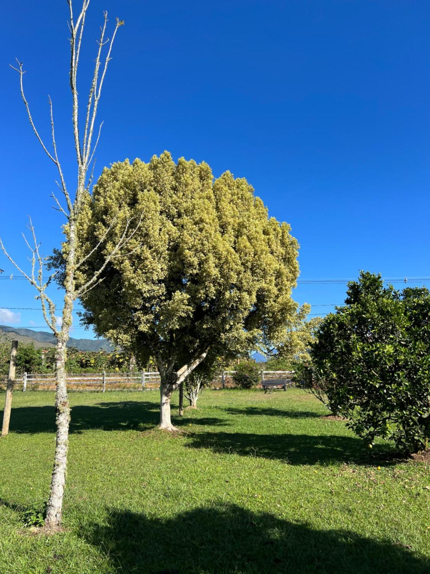 Finca Hotel Paraiso Urrao Eksteriør billede