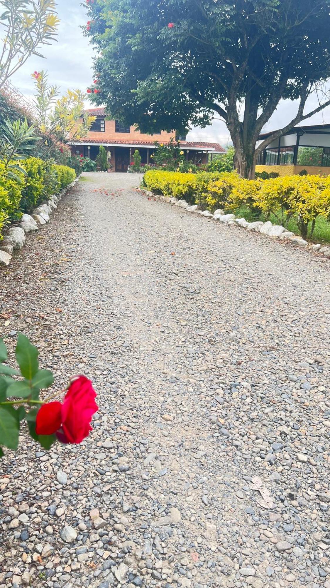 Finca Hotel Paraiso Urrao Eksteriør billede