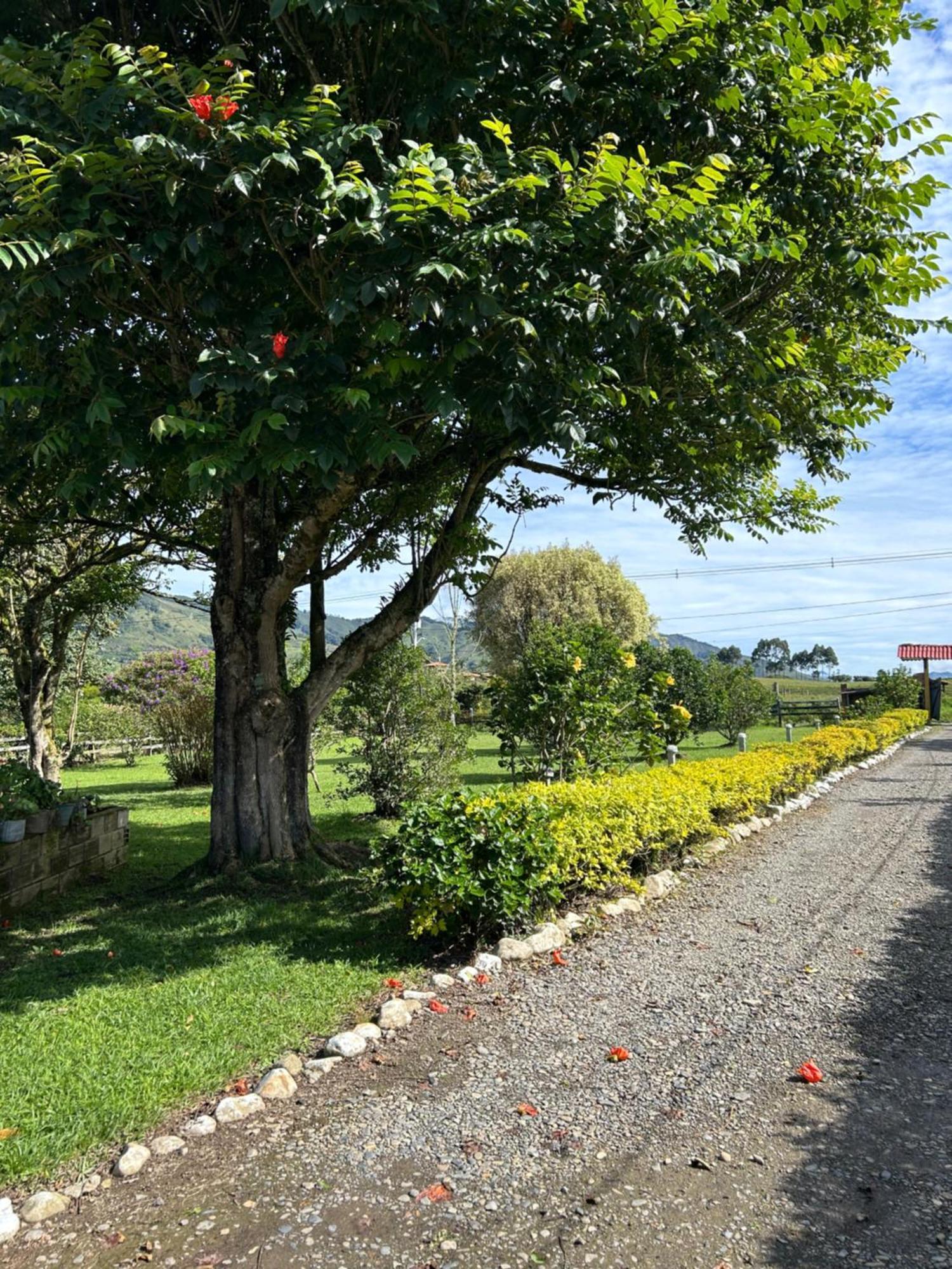 Finca Hotel Paraiso Urrao Eksteriør billede